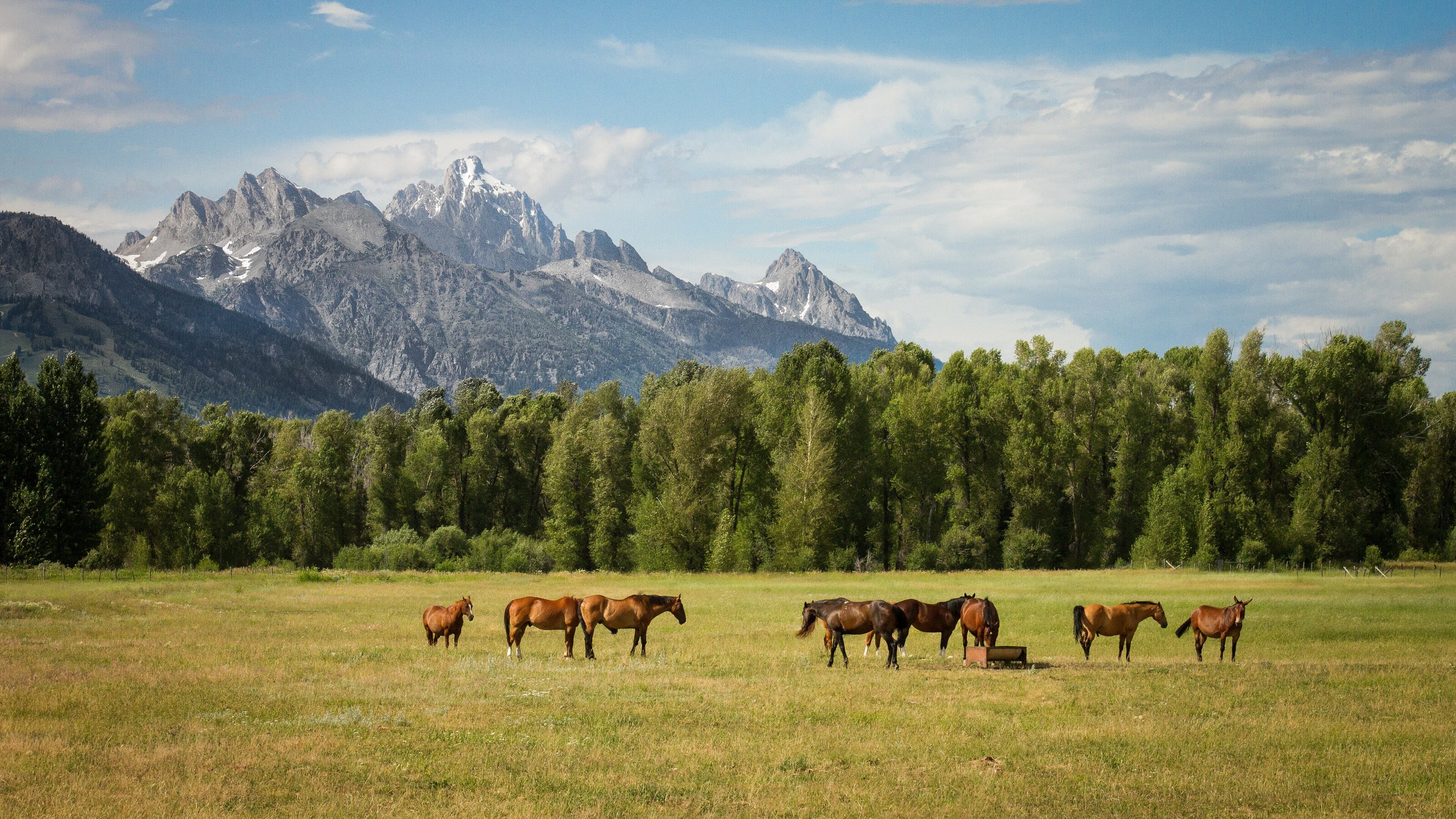 Jackson, Wyoming skyline and business district