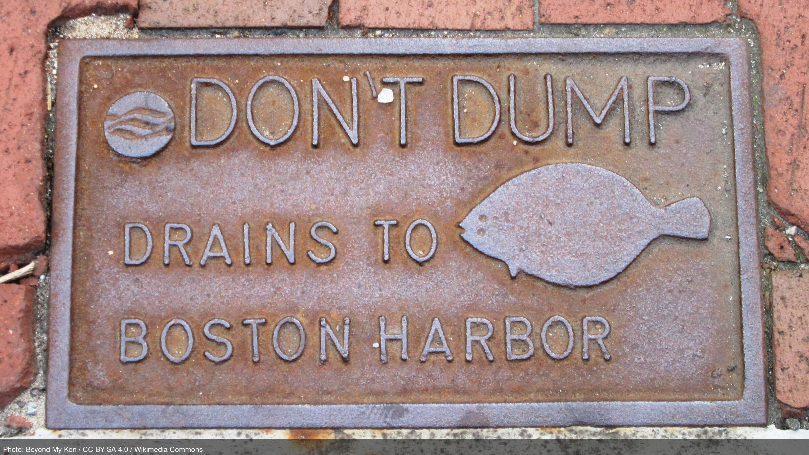 Massachusetts business landscape