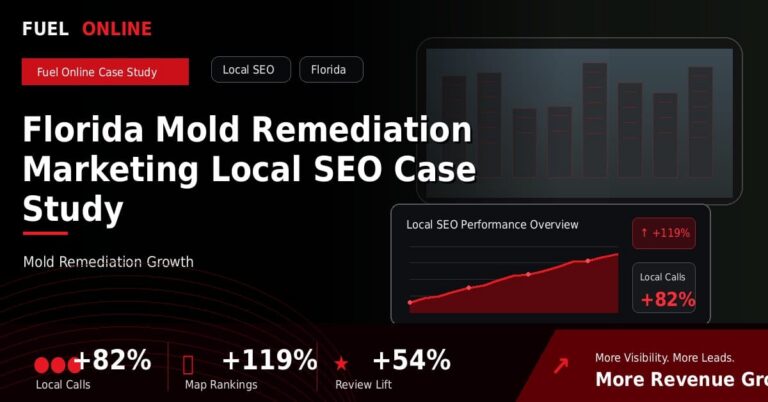 Florida Mold Remediation Local SEO Case Study performance dashboard graphic