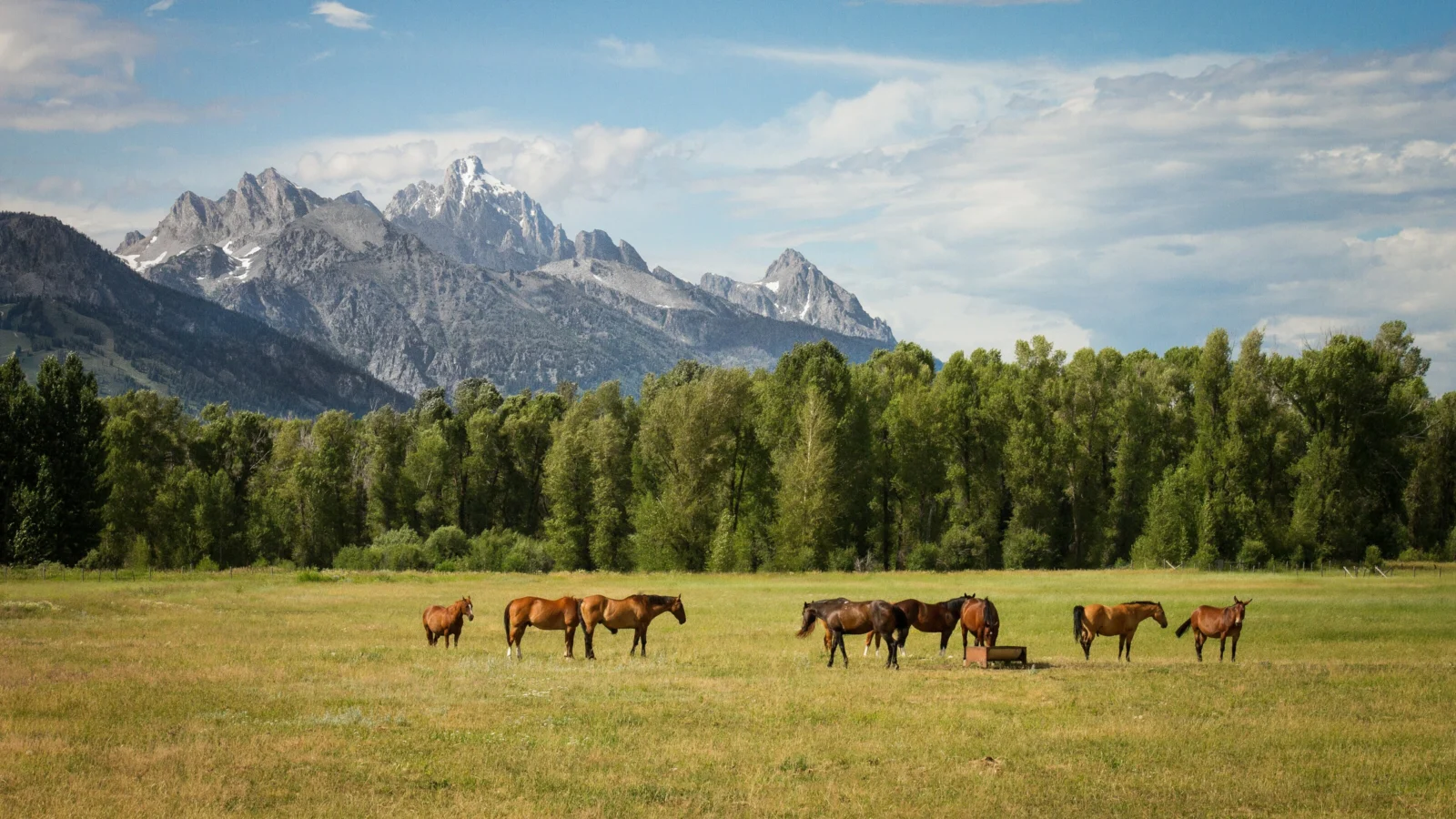 Jackson, Wyoming skyline and business district
