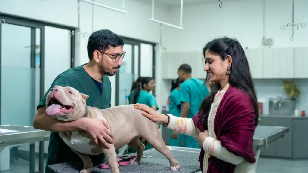 Veterinary Digital Marketing Agency Photo A Veterinary Digital Marketing Company: veterinarian examining dog owner