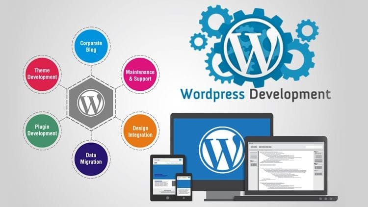 wordpress development